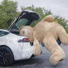 Tesla’s new hands-free trunk feature will be a boon in certain situations<br>