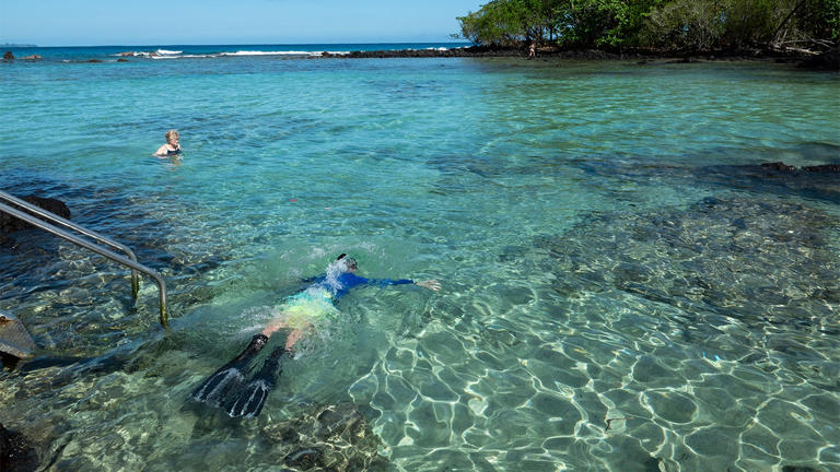 A man snorkels in the clear water of the Pacific Ocean at Carlsmith Beach Park Jan. 15, 2024, in Hilo, Hawaii. Getty Images