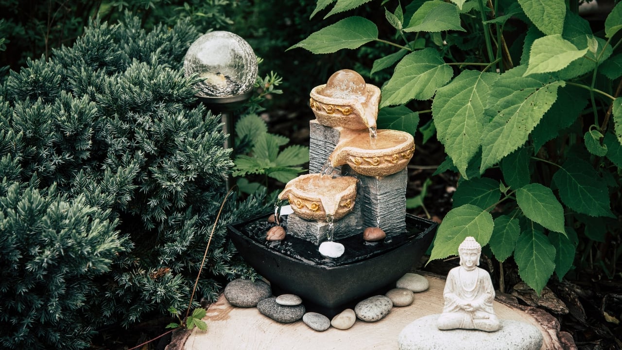 create your very own mini zen garden at home in 7 steps