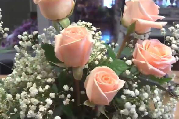 Wausau Conservatory of Music selling roses Friday and Saturday for ...