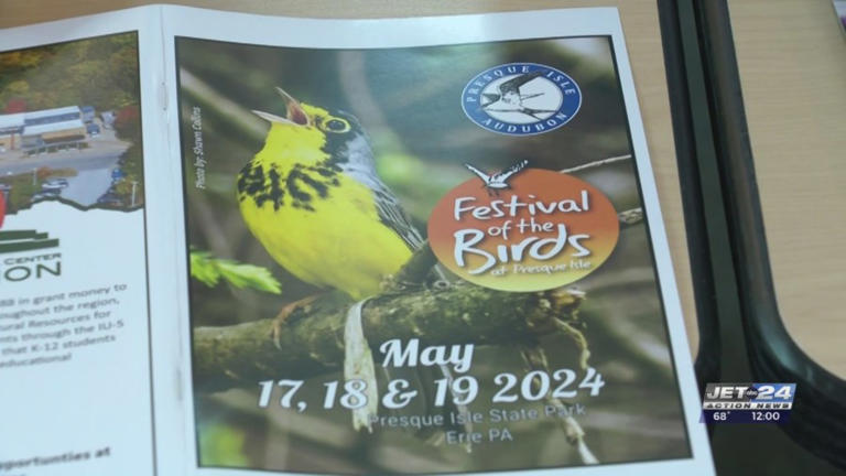 Bird enthusiasts flock to Presque Isle for annual Festival of Birds