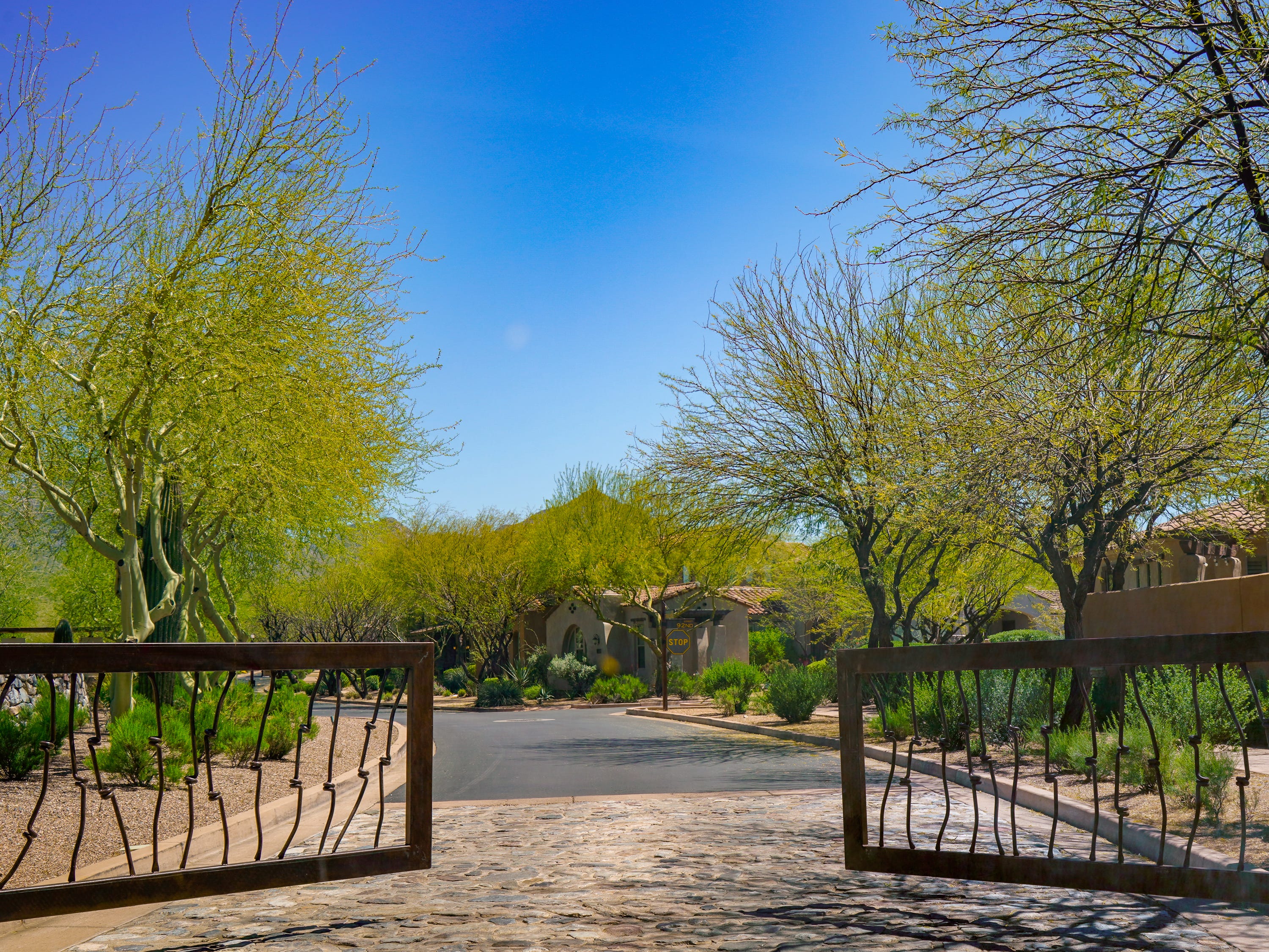 <p>Desert Parks Village is full of gated neighborhoods lined with single-family homes and <a href="https://www.businessinsider.com/new-york-city-resident-tours-austin-apartments-2000-per-month-2021-12">luxury apartments</a>. </p>