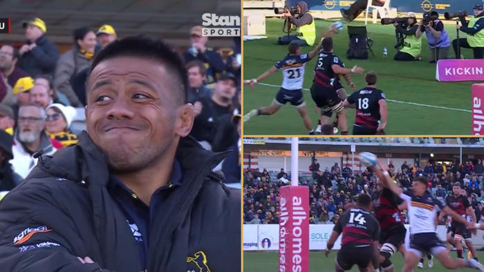 insane scenes! crusaders undone by crazy penalty try leaving fans in awe