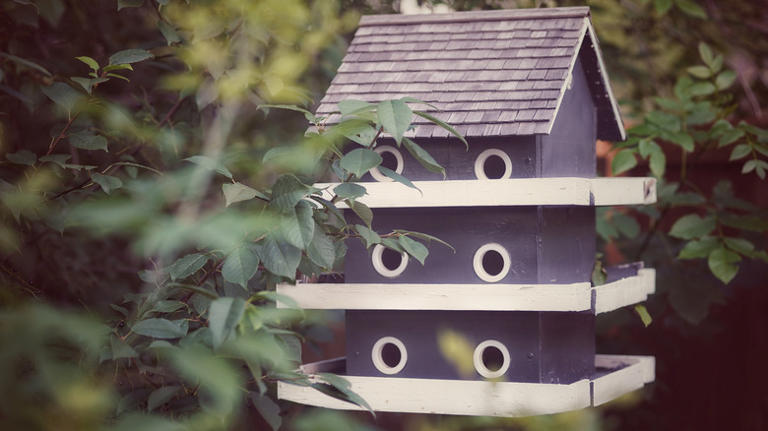 [7 Min.] Use These 8 Stunning Colors On Your Birdhouse To Attract More ...