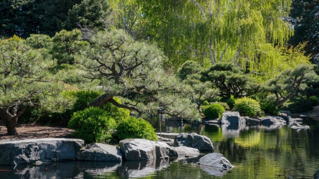 <ul>   <li><strong>Overview</strong>: The Denver Botanic Gardens cover 24 acres and include a variety of themed gardens, conservatories, and natural areas.</li>  </ul> <ul>   <li><strong>Highlights: </strong>The Japanese Garden, a peaceful retreat with traditional design elements. The Orangery, housing a collection of citrus trees and tropical plants. The Monet Pool, inspired by the artist’s famous water lily paintings.</li>  </ul> <ul>   <li><strong>Why Visit:</strong> This garden offers a diverse range of plant collections and stunning landscapes, perfect for visitors of all ages​ (TravelAwaits)​.</li>  </ul>