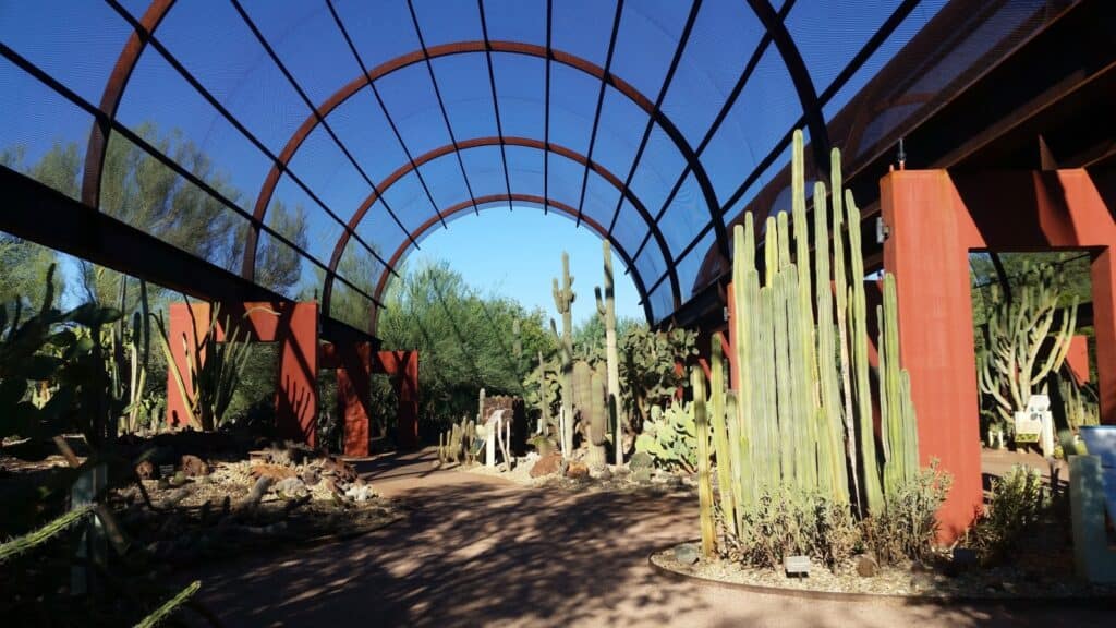 <ul>   <li><strong>Overview:</strong> Located just minutes from downtown Phoenix, the Desert Botanical Garden showcases the unique beauty of desert flora. Spread across 55 acres, the garden features over 50,000 plants from around the world, focusing on arid landscapes.</li>  </ul> <ul>   <li><strong>Highlights: </strong>The Desert Discovery Loop Trail, which offers a close-up view of desert plants. The Butterfly Pavilion, home to thousands of butterflies. Seasonal events like Las Noches de las Luminarias, where garden paths are lined with flickering luminarias.</li>  </ul> <ul>   <li><strong>Why Visit:</strong> This garden is ideal for those interested in learning about plant adaptations to desert environments and enjoying the striking beauty of cacti and succulents.</li>  </ul>