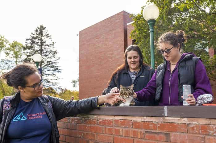Il gatto Max con studenti della Vermont State University (Facebook / Vermont State University)