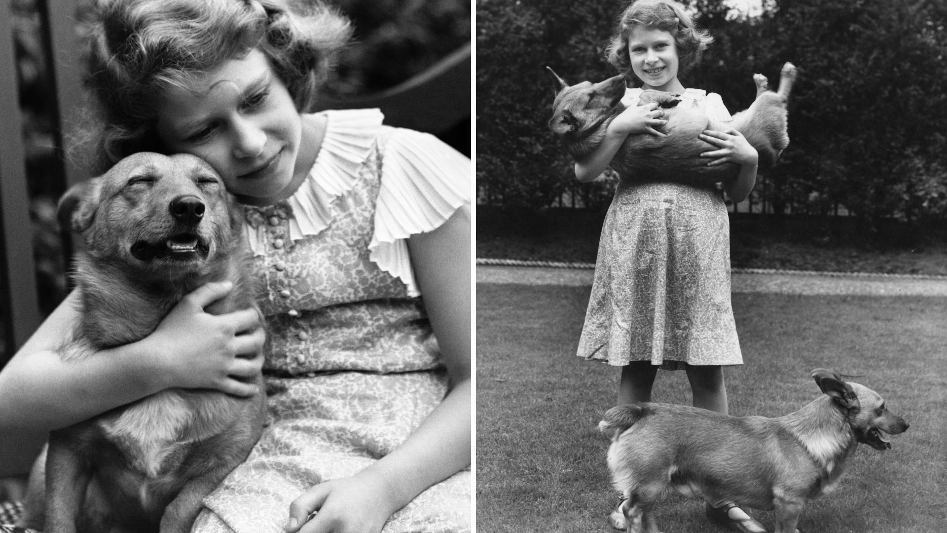 <p>                     The late Queen's corgis were an iconic and symbiotic part of her historic 70-year reign. She made the dog breed synonymous with palaces and royalty, and it turns out, her bond to the breed was a lifelong one.                   </p>                                      <p>                     In heart-warming snaps of a young Princess who would have no idea she'd go on to become Britain's longest-serving monarch in history, a young Elizabeth is caught playfully scooping up her dogs and giving one an affectionate hug.                   </p>                                      <p>                     These photos are dated 1936, meaning the young Princess would only have been about 10 years old.                   </p>