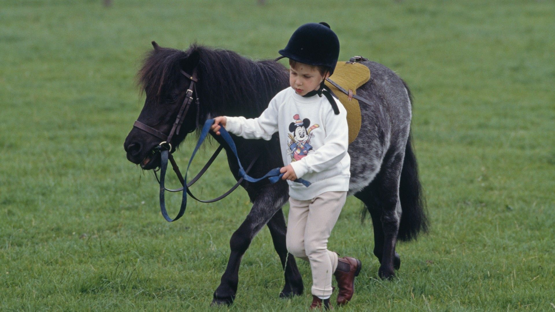 <p>                     A love of horses runs through the Royal Family, with the late Queen Elizabeth having a lifelong affinity.                   </p>                                      <p>                     Like the young Queen who got her first pony as a young child, this heart-warming photo of a young Prince William shows his natural touch with animals as he gently steers a pony around a field.                   </p>                                      <p>                     Extra sweet points for his Mickey Mouse jumper.                   </p>