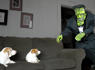 Dogs Love Frankenstein Prank: Cute Dogs Maymo & Penny<br><br>