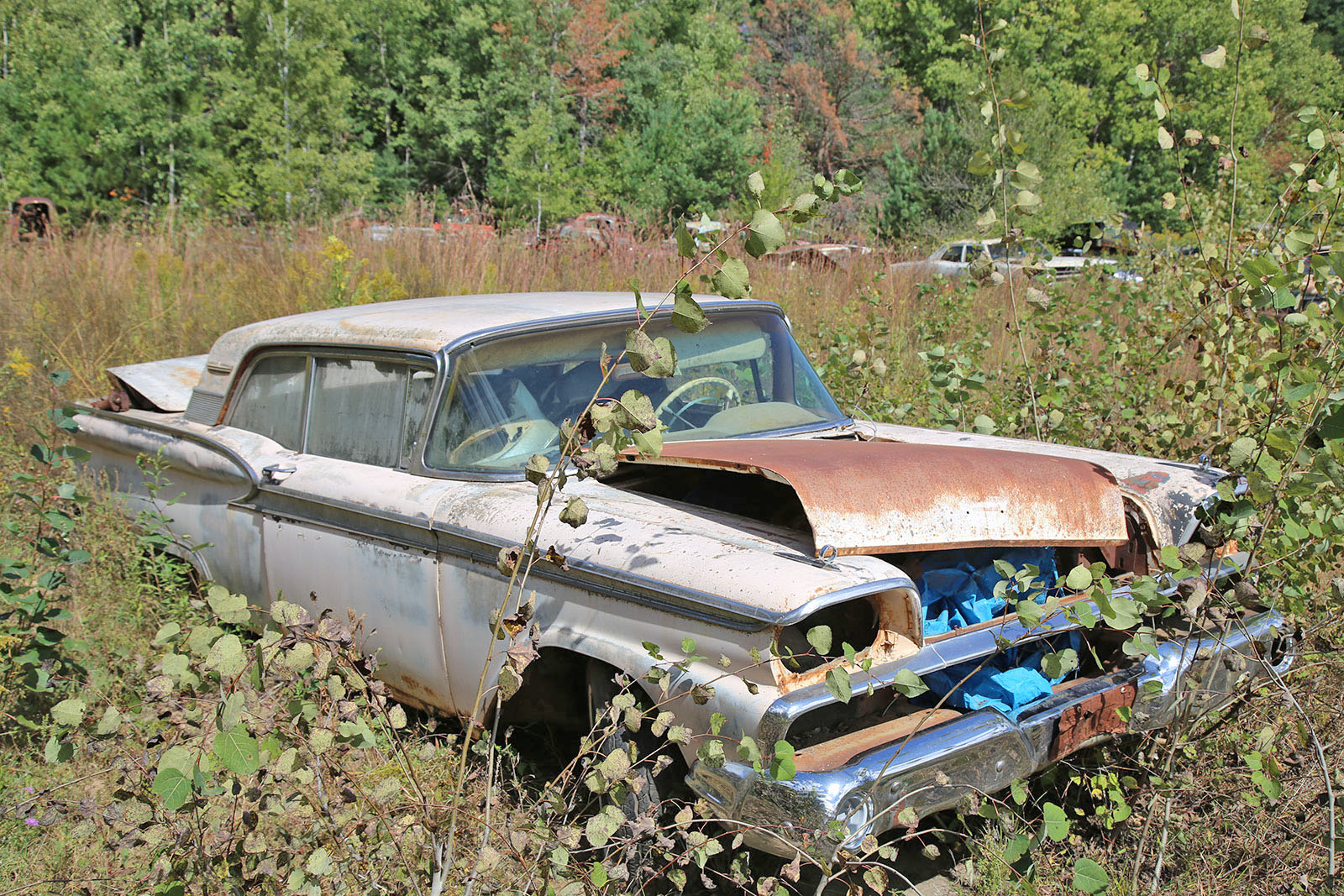 Junkyard Discoveries from Cooley’s Statewide Scrap & Salvage in Eau