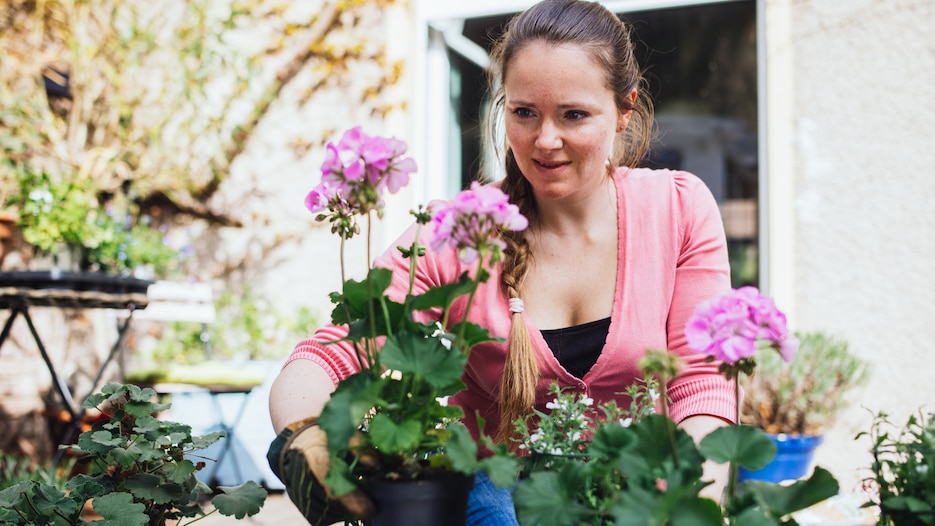 Haben Sie bestimmt zu Hause Einfaches Getränk ist der beste Dünger für