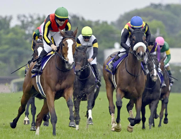 チェルヴィニアがオークス優勝 競馬G1初制覇、 ルメール騎乗