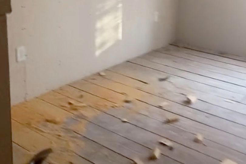 woman's joy after discovering hidden room in her house behind a wardrobe