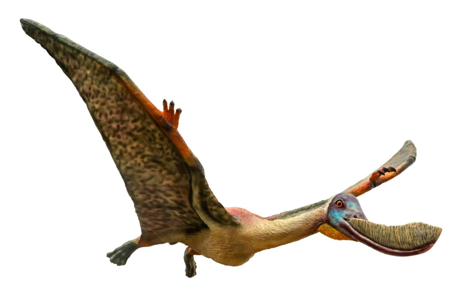 The 10 Most Common Flying Dinosaurs That Once Ruled the Skies