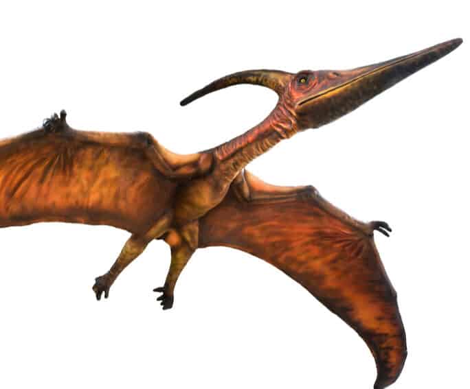 The 10 Most Common Flying Dinosaurs That Once Ruled the Skies