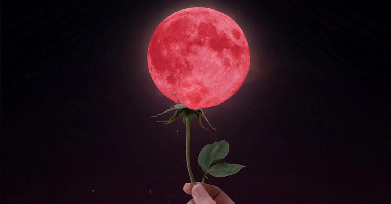 Rain rain go away, I want to see the full Flower Moon in May! I’m hoping for clear skies because I love a pretty full moon! NASA said that the flower name goes back to the Maine Farmers Almanac in the 1930s. So why is it called the Flower Moon? Well, when there is a full...