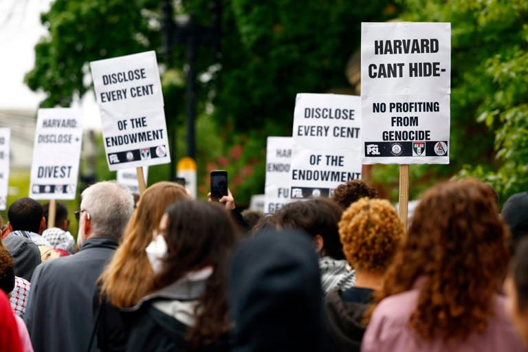 Signs at a rally hosted by Harvard Out of Occupied Palestine at Johnston Gate on Sunday.