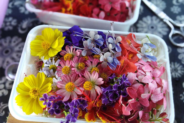 ฟาร์มสุขดอกไม้ไทย ชู “วัชพืช” ข้างทางสร้างเงินล้าน