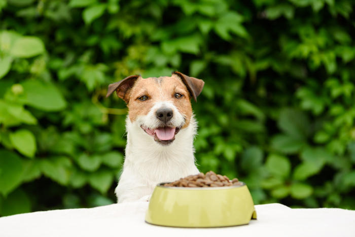 dog food recall map shows states impacted: 'monitor for unusual behavior'