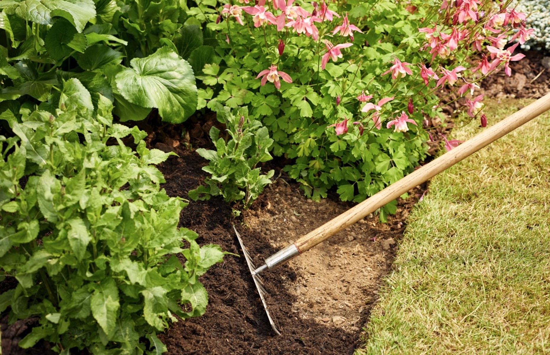 32 Expensive Gardening Mistakes You Don't Want To Make