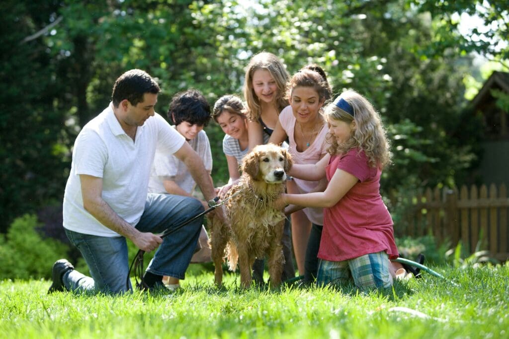 <p>Some dogs are better suited to living with families and get more exercise and playtime due to the presence of young children. These kinds of dogs also tend to be happier with a yard to play in and plenty of room to spread out!</p>