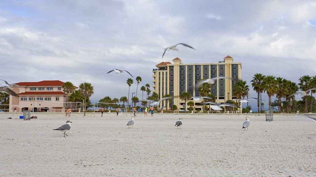 <p>With its sugar-white sand and crystal-clear waters, <a href="https://frenzhub.com/15-most-beautiful-beaches-in-the-world/" rel="noopener">Clearwater Beach</a> is often ranked among the best in the U.S. It’s also one of the few places to enjoy a beach day and a world-class aquarium visit on the same day.</p>
