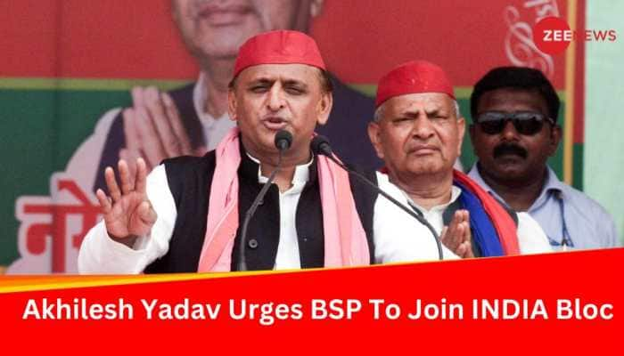 BSP Should Join INDIA Bloc: Akhilesh Yadav's Request To Mayawati's ...