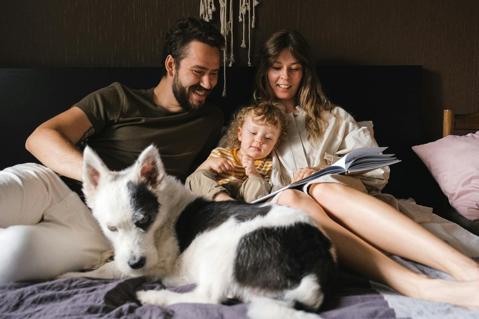 <p>Whether you're just starting out or you have a family with children, it can be tough to pick a dog that's a good fit for your lifestyle. Today, we're looking at various breeds to see how they fit with your family style and see how they match up with other breeds.</p>