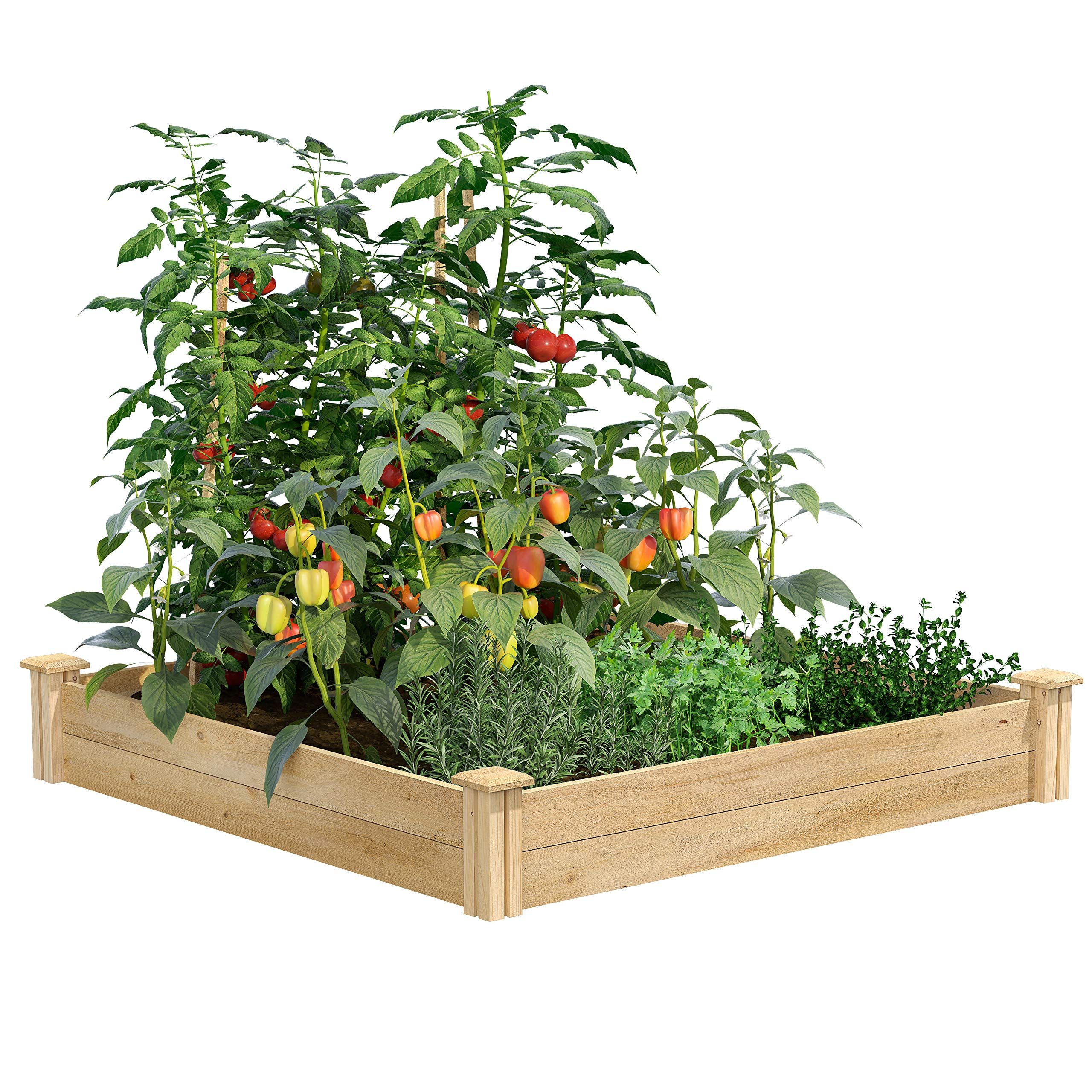 The Best Raised Garden Beds to Buy That We've Tried and Recommend