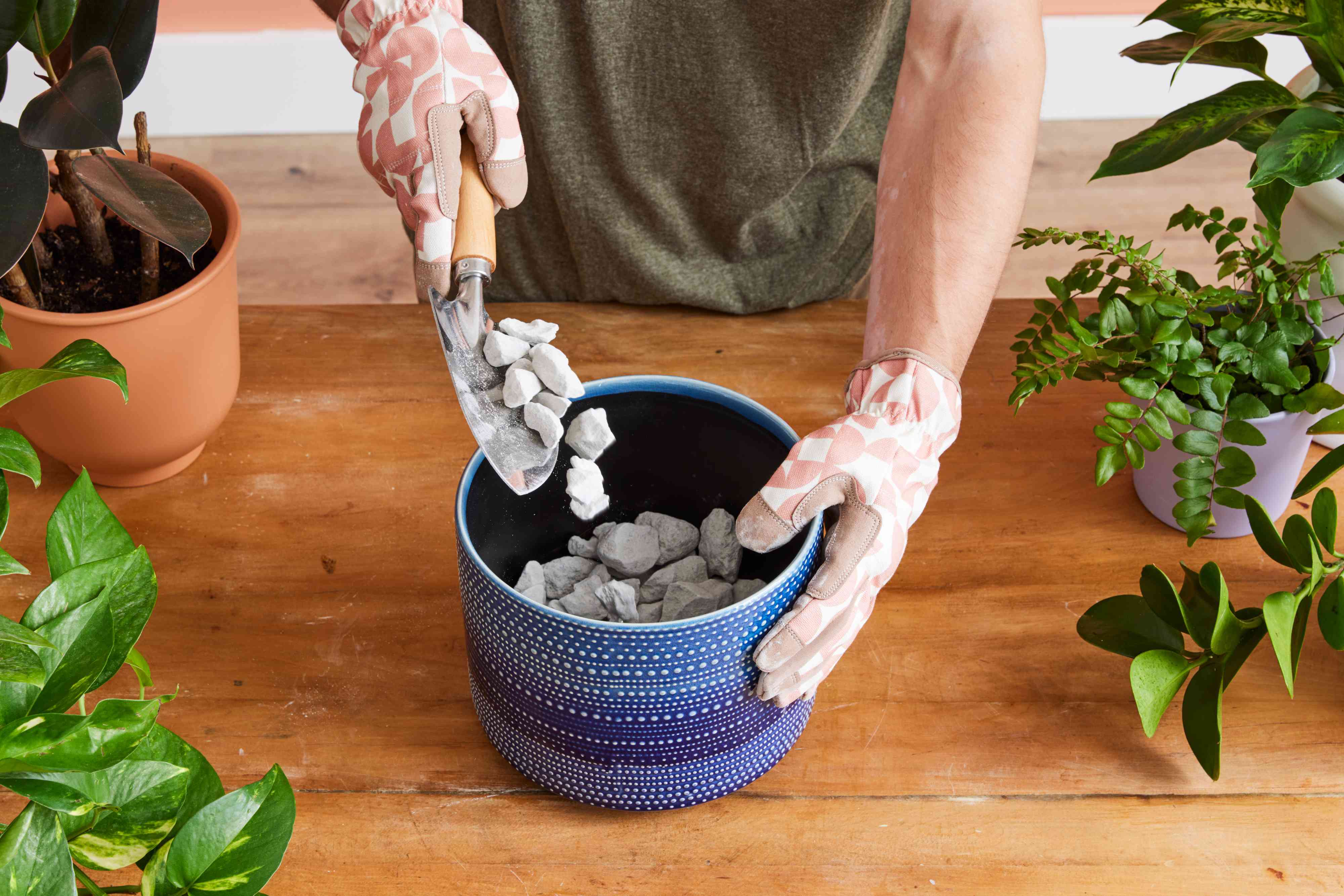 Should You Put Rocks at the Bottom of a Planter? We Asked a Plant Expert