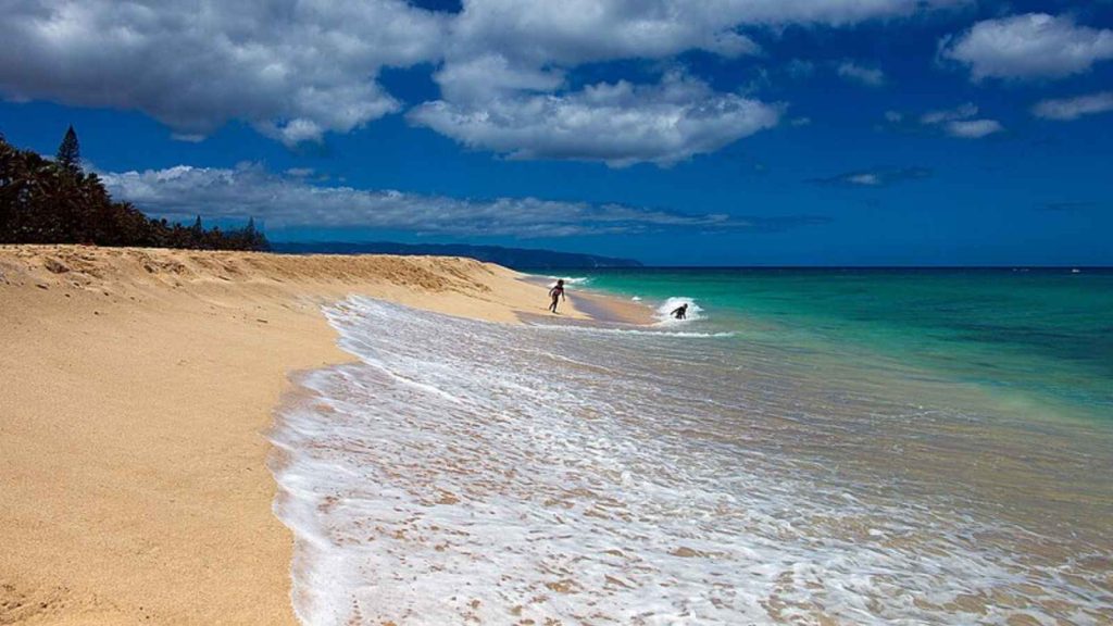 <p>This North Shore Oahu town is a surfer’s paradise, known for its legendary waves and laid-back vibe. The surf culture of the ’60s lives on here, and the shaved ice is as iconic as the breaks.</p>
