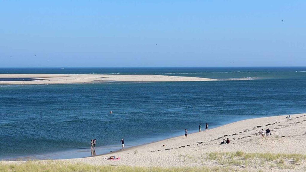<p>Chatham sits at the elbow of Cape Cod, offering a quintessential Cape experience. Its Main Street is a stroll through Americana, while its beaches are a haven for seal watchers.</p>