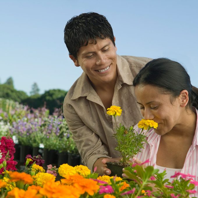 A man hands a potted flower to a smiling woman, who leans in to smell it, surrounded by colorful blooming flowers in a garden setting.