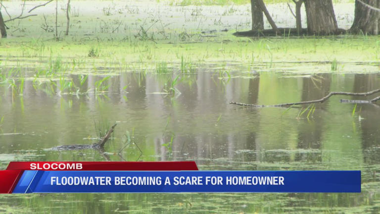 Slocomb homeowner claims standing floodwater is bringing gators and snakes