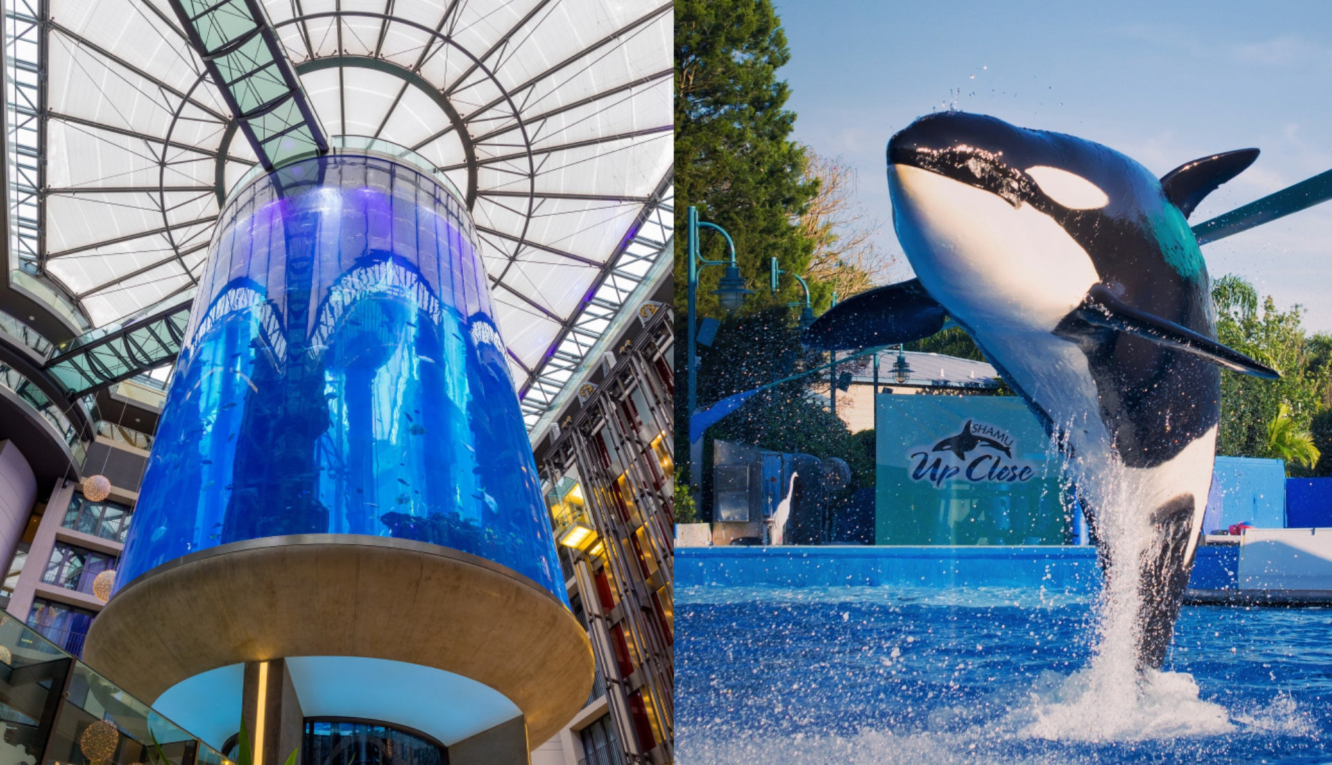 The world's most spectacular aquariums