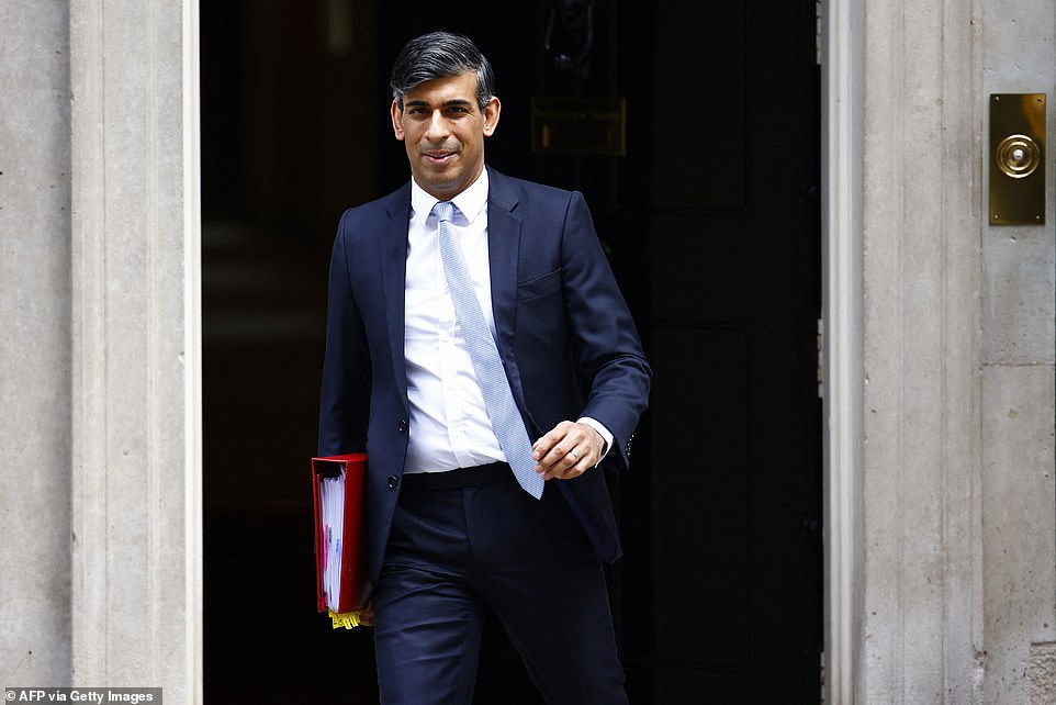 Rishi Sunak Says UK 'leading Charge' In Tackling Illegal Migration