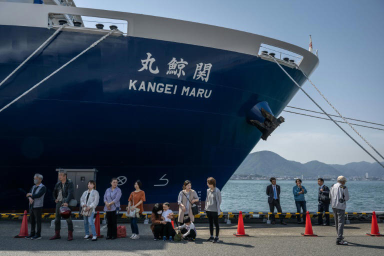 le nouveau navire baleinier japonais débute sa première campagne de chasse