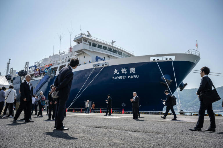 le nouveau navire baleinier japonais débute sa première campagne de chasse