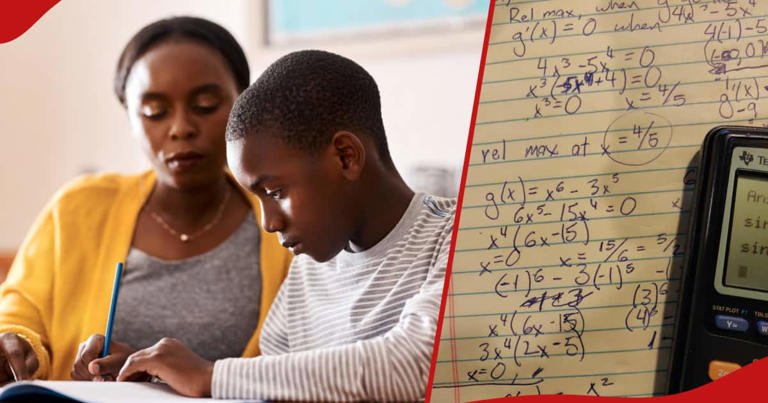 Kirinyaga Mum Turns to Internet in Quest to Aid Son with Algebra Homework