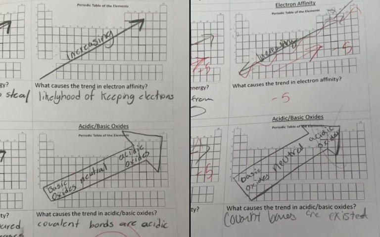 Two homeworks with strangely similar answers. Can you spot the difference?