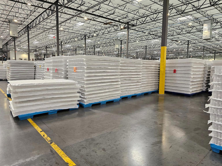 The pocket spring layers await the mattress assembly process. While it varies significantly, hybrid mattresses often have around 1,000 pocket springs. James Brains/Business Insider