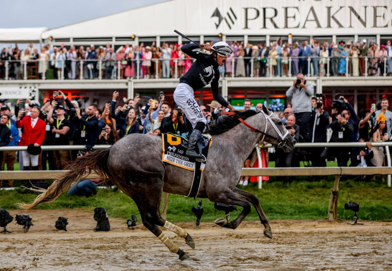 Preakness-Winning Jaime Torres Unanimously Voted Jockey Of The Week