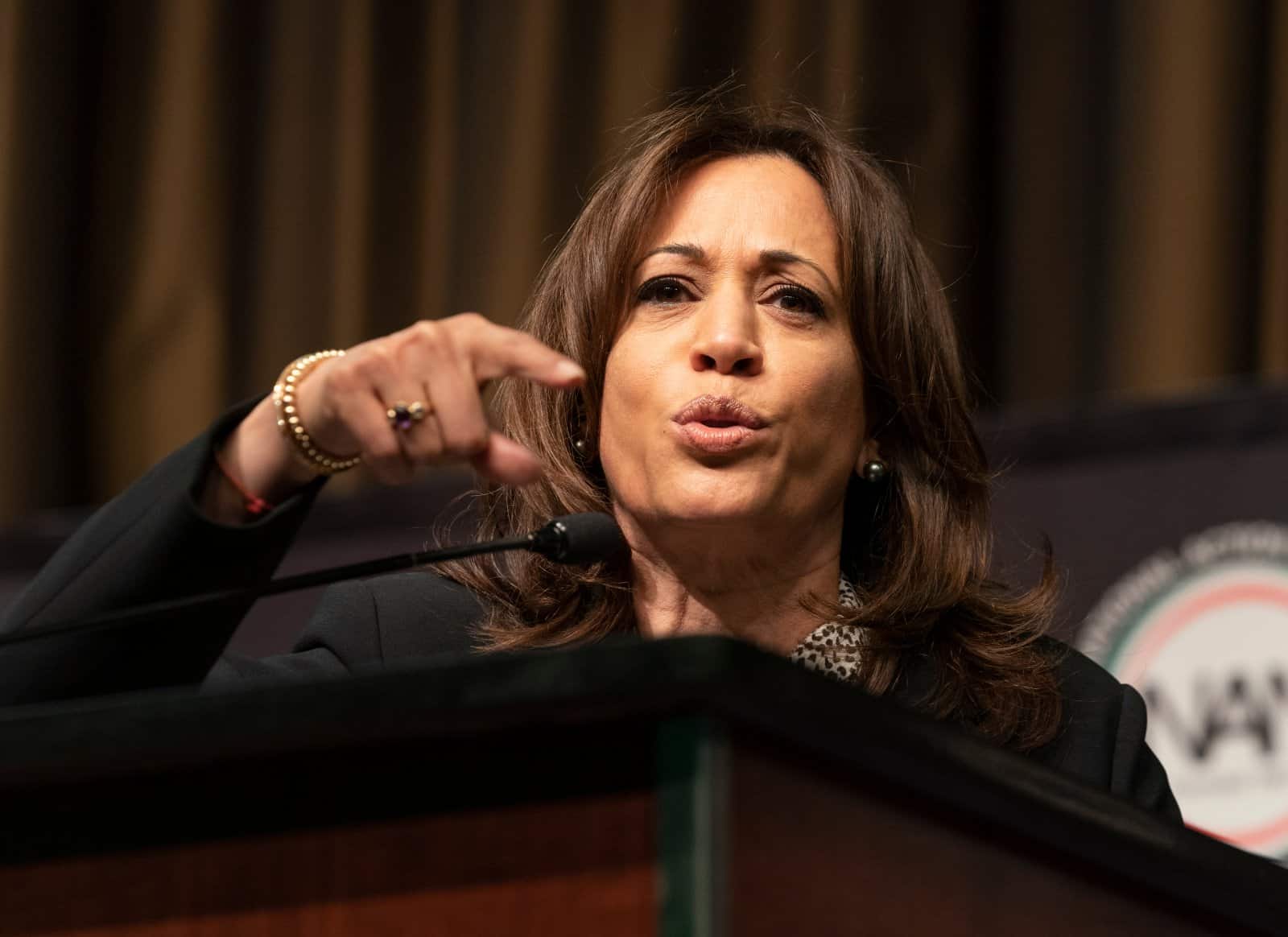 Image Credit: Shutterstock / lev radin <p><span>Vice President Kamala Harris faced criticism for telling potential migrants “Do not come” during a visit to Guatemala, reflecting the administration’s struggle to balance humanitarian rhetoric with deterrence.</span></p>