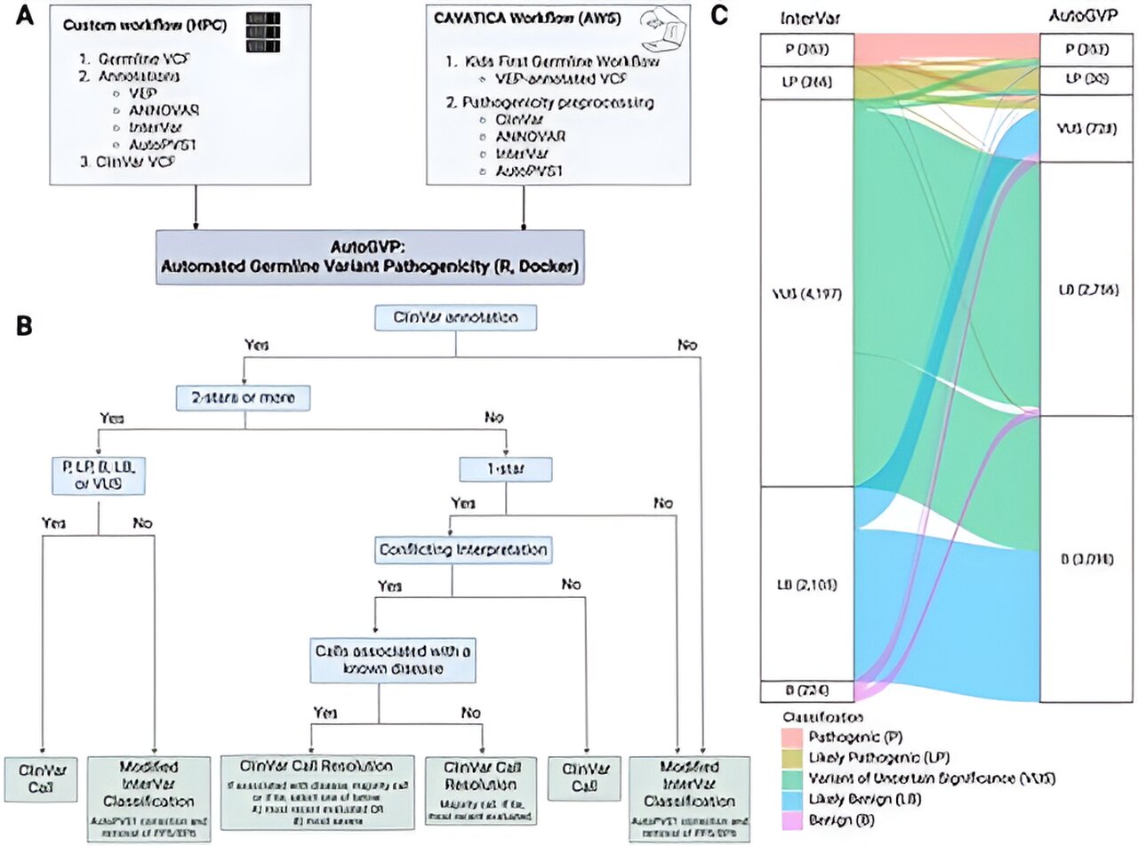 Researchers Develop New Tool For Better Classification Of Inherited ...