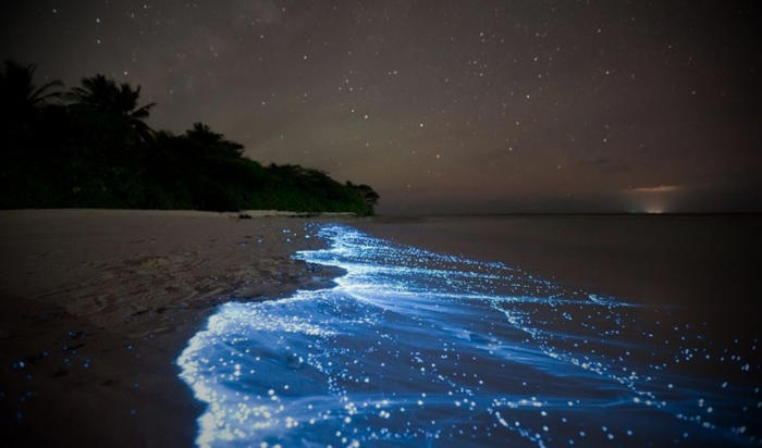 la maravilla natural de sudamérica donde el agua se vuelve azul brillante en la oscuridad de la noche
