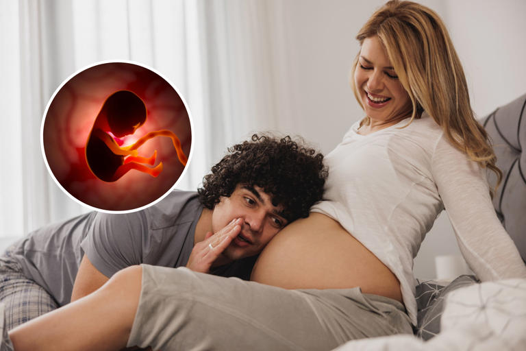 Stock image of parents talking to a baby bump (main) and a fetus in the womb (inset). Babies differ in how they process speech depending on if their mother is bilingual or monolingual.