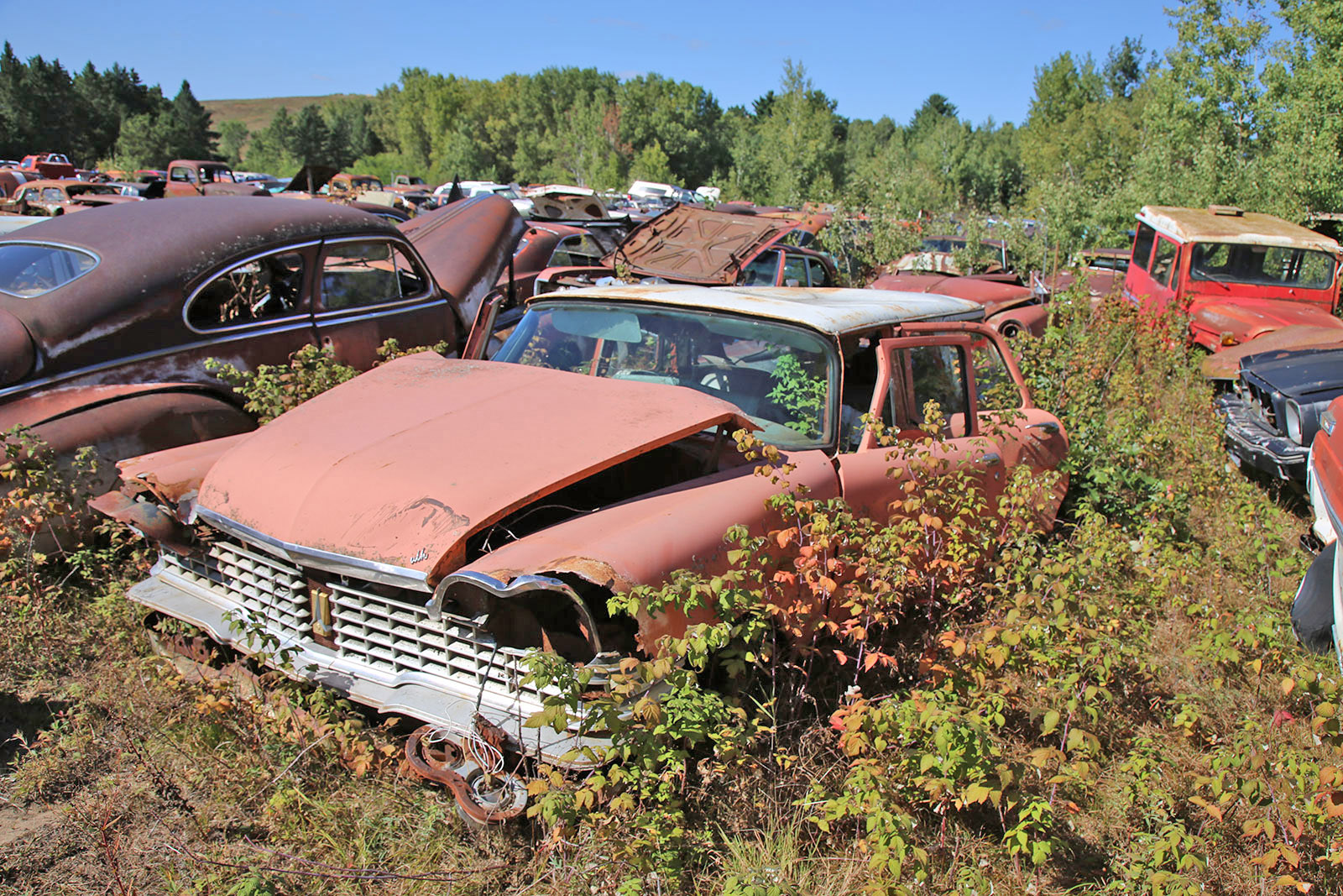 Junkyard Discoveries from Cooley’s Statewide Scrap & Salvage in Eau ...