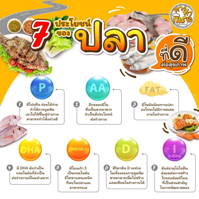 กินปลาแล้วฉลาดจริงไหม พร้อม 7 ข้อดีจากปลา กินประจำมีแต่ประโยชน์