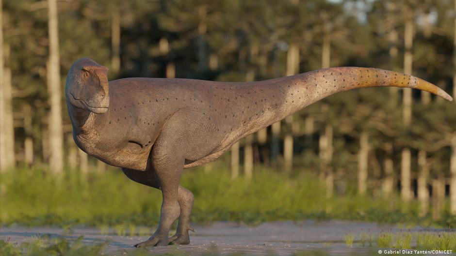 hallan en la patagonia una nueva especie de dinosaurio con brazos increíblemente pequeños